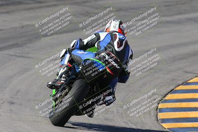 media/Feb-04-2024-SoCal Trackdays (Sun) [[91d6515b1d]]/4-Bowl Backside (11am)/